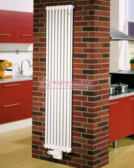 Вертикальный трубчатый радиатор Zehnder 4200 V002 с нижним подключением