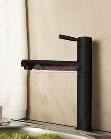 Смеситель для кухни черный Main 4107-Bl