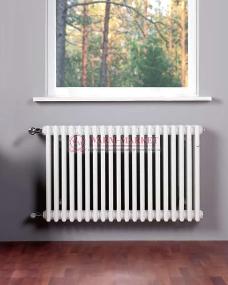 Трубчатый радиатор Zehnder 6026 №1270 с боковым подключением