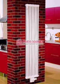 Вертикальный трубчатый радиатор Dia Norm 2180-8 секций, двухтрубный с нижним центральным подключением.