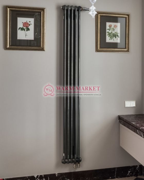 Вертикальный трубчатый радиатор Arbonia 21800 мм высотой, двухтрубный №12 боковое подключение в цвете антрацит | Фото