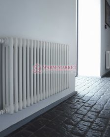 Трубчатый радиатор Zehnder 3090 №1270 с боковым подключением