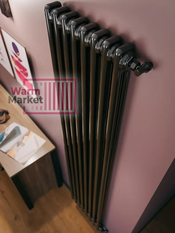 Axxinot Sentir 2170 - стальной трубчатый радиатор, боковое подключение N12