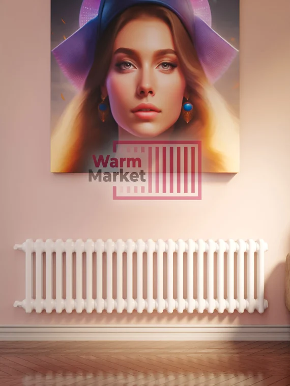 Axxinot Sentir 2040 - стальной трубчатый радиатор, боковое подключение N12