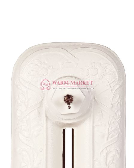 Чугунный радиатор HeatWave Pion 600