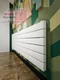 Axxinot Adero 30х60 Z - горизонтальный радиатор шириной 2500 мм, нижнее левое подключение