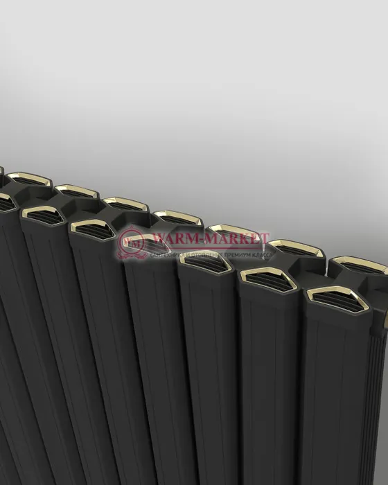Горизонтальный дизайн радиатор Anit Pioneer 500 анодированный алюминий цвет черный | Фото 3