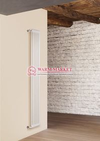Вертикальный трубчатый радиатор Irsap Tesi RT 21800-6 №30, двухтрубный с боковым подключением.