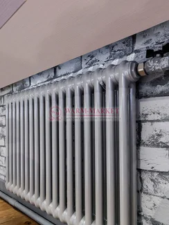 Трубчатый радиатор Irsap Tesi 2 565 №30, двухтрубный боковое подключение