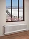 Трубчатый радиатор Purmo Delta 2057-32 секции, двухтрубный с боковым подключением.