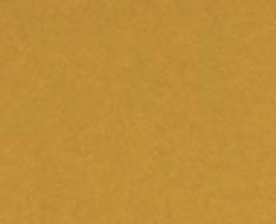 Золотой металлик / C13 Бесплатно