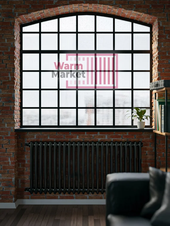 Axxinot Sentir 2070 - стальной трубчатый радиатор, боковое подключение N12