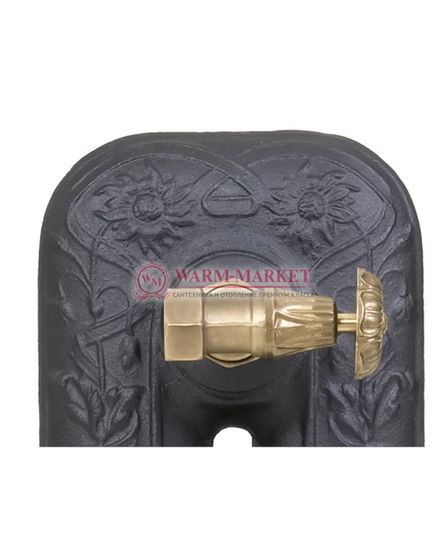 Чугунный радиатор HeatWave Pion 790