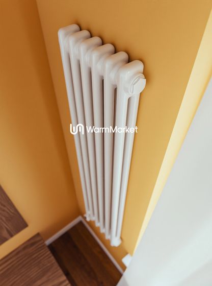 Bareng Softy Electric 2120 - электрический вертикальный двухтрубный трубчатый радиатор высотой 1200 мм