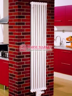 Вертикальный трубчатый радиатор Dia Norm 2180-8 секций, двухтрубный с нижним центральным подключением.