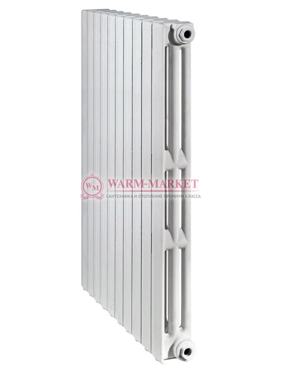 Чугунный радиатор Viadrus Termo 813/95