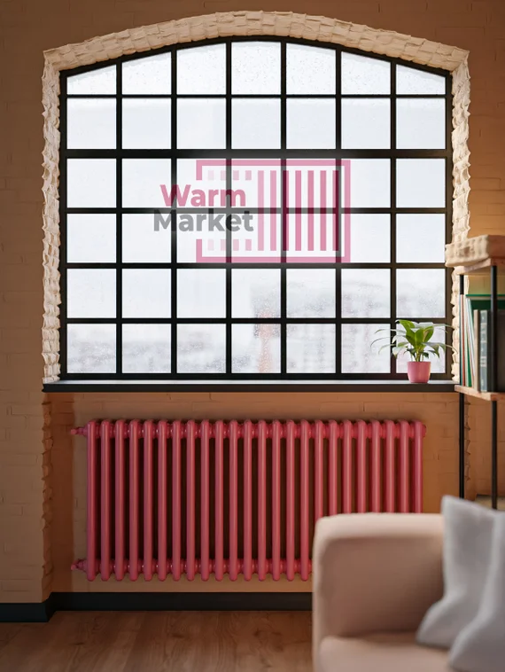 Axxinot Sentir 3070 - стальной трубчатый радиатор, боковое подключение N12