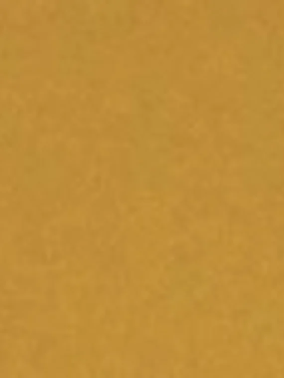 Золотой металлик / C13 Бесплатно