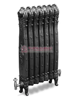 Чугунный радиатор HeatWave  Imperia 985