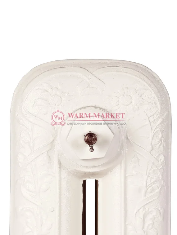 Чугунный радиатор HeatWave Pion 790