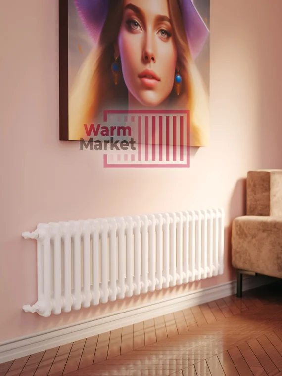 Axxinot Sentir 2020 - стальной трубчатый радиатор, боковое подключение N12