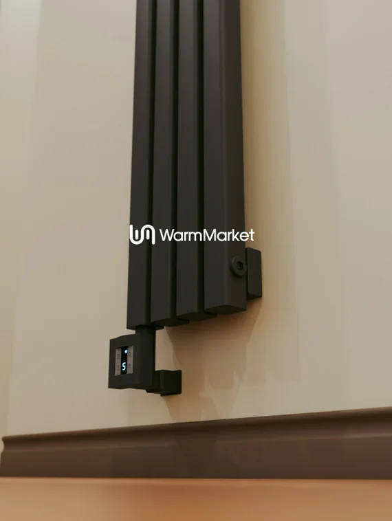 Bareng Tipe VE 1000 - вертикальный электрический трубчатый радиатор высотой 1000 мм