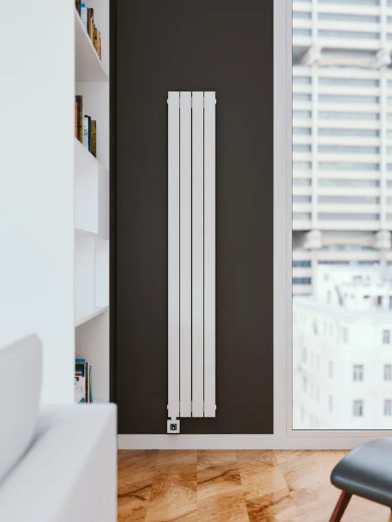 Bareng Temper VE 1000 - вертикальный электрический трубчатый радиатор высотой 1000 мм