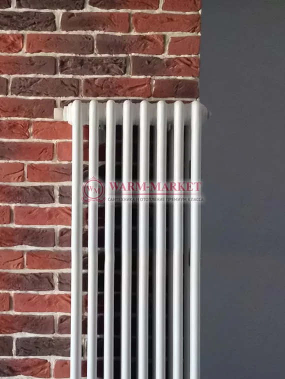 Трубчатый радиатор Arbonia 6100 шеститрубный боковое подключение