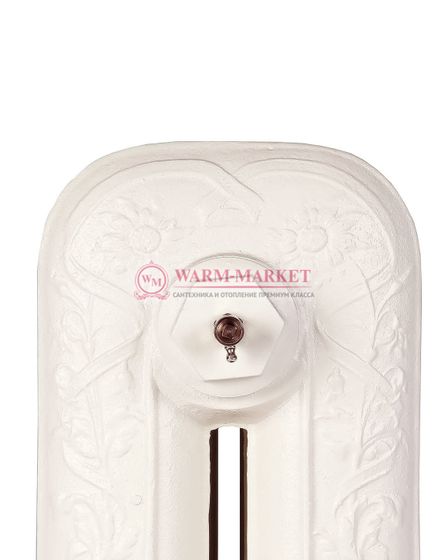 Чугунный радиатор Viadrus Dafne 400