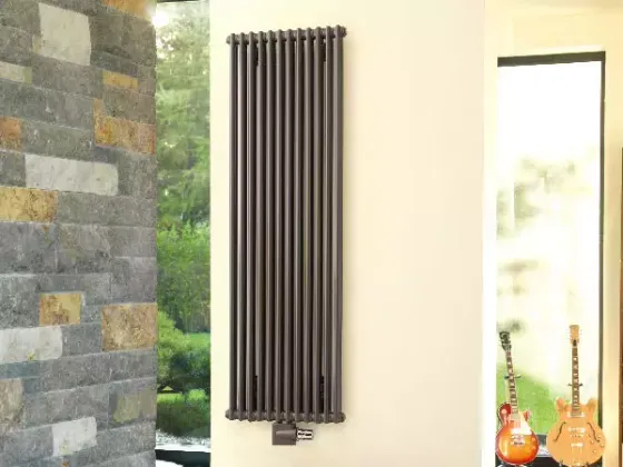 Трубчатый радиатор Zehnder Charleston Technoline 2026 в цвете прозрачный лак