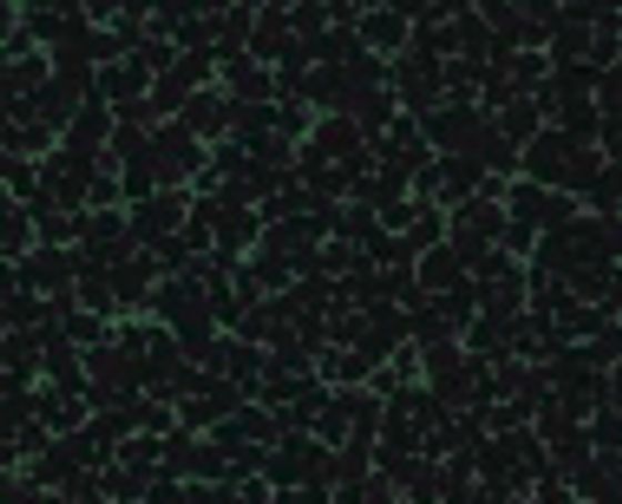 Античный зеленый / C10 Бесплатно