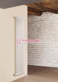 Вертикальный трубчатый радиатор Irsap Tesi RT 21800-10 №30, двухтрубный с боковым подключением.
