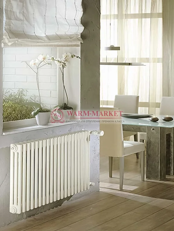 Трубчатый радиатор Arbonia 3050 № 12 3/4 с боковым подключением