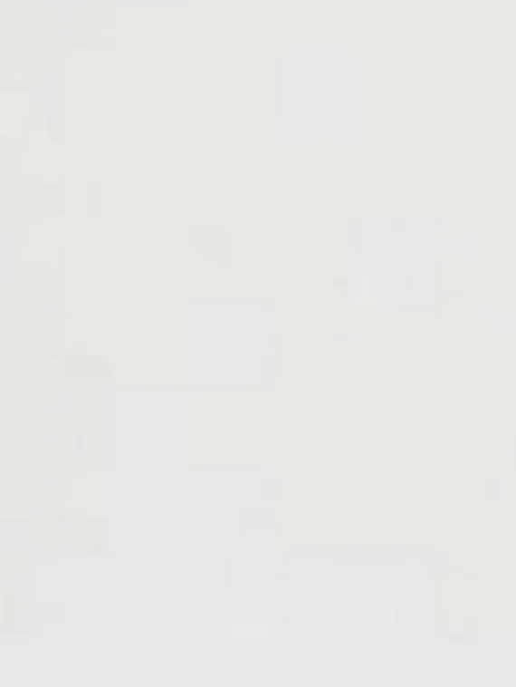 Муар белый / C16 Бесплатно