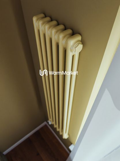 Bareng Softy Electric 2120 - электрический вертикальный двухтрубный трубчатый радиатор высотой 1200 мм