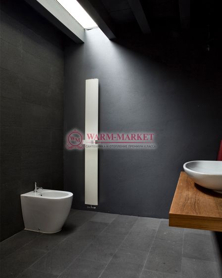 Вертикальный дизайн радиатор Ridea Mono