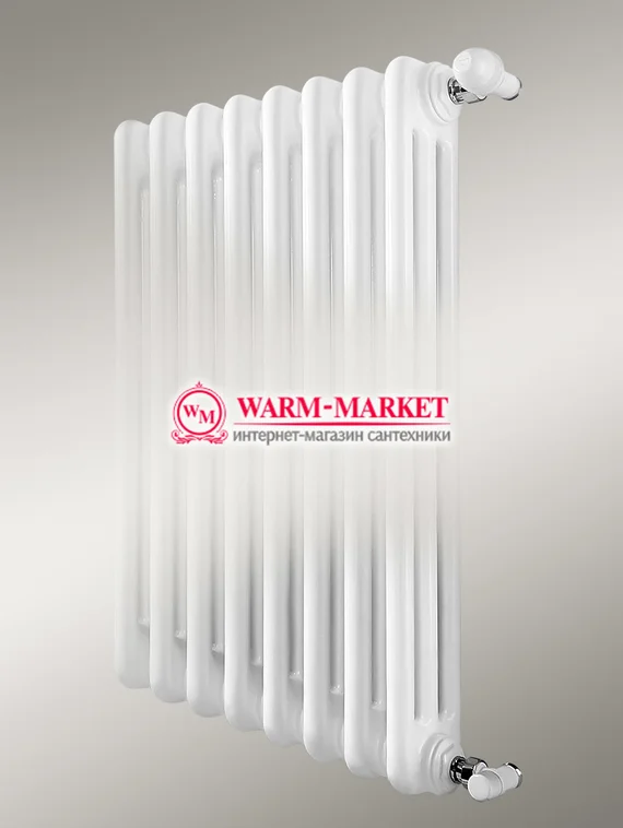 Вертикальный трубчатый радиатор Dia Norm 2750 двухтрубный