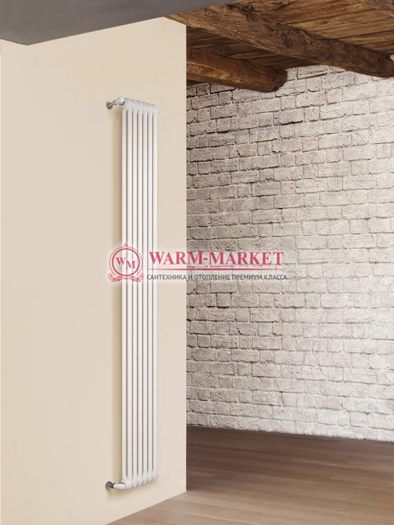 Вертикальный трубчатый радиатор Irsap Tesi RT 21800-6 №30, двухтрубный с боковым подключением