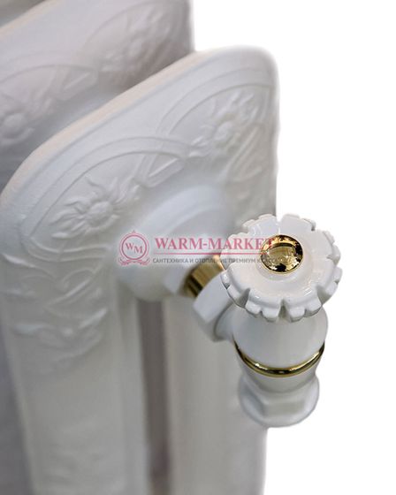 Чугунный радиатор Viadrus Dafne 400