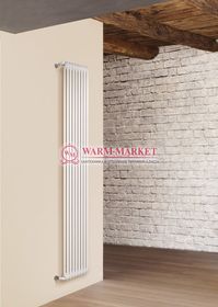 Вертикальный трубчатый радиатор Irsap Tesi RT 21800-8 №30, двухтрубный с боковым подключением.
