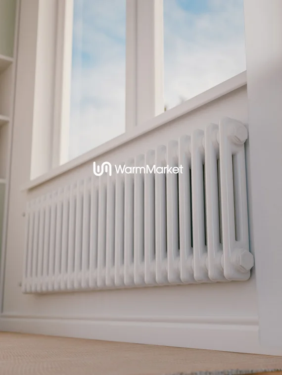 Bareng Softy 2030 - двухтрубный трубчатый радиатор высотой 300 мм, боковое подключение