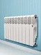 Радиатор Royal Thermo Revolution Bimetall 500 10 секций