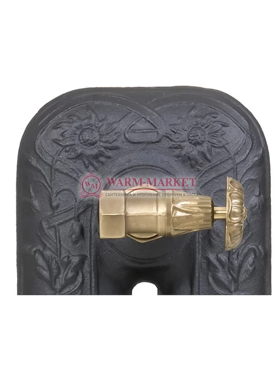 Чугунный радиатор HeatWave Pion 790