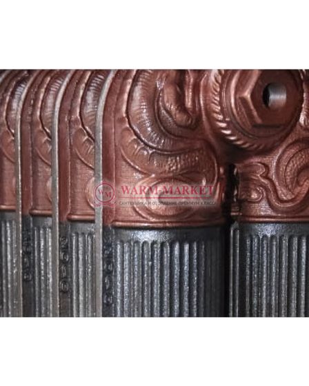 Чугунный радиатор Fakora Dragon 560