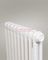 Вертикальный трубчатый радиатор Zehnder 1800 мм высотой, двухтрубный