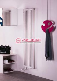 Вертикальный трубчатый радиатор Dia Norm 2180-8 секций, двухтрубный с нижним правым/левым подключением.
