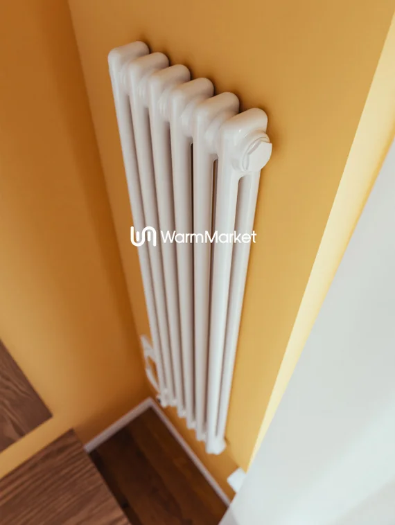 Bareng Softy Electric 2120 - электрический вертикальный двухтрубный трубчатый радиатор высотой 1200 мм