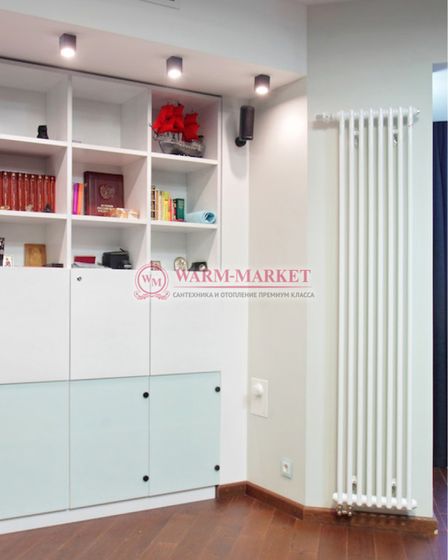 Вертикальный трубчатый радиатор Zehnder 6250 V002 с нижним подключением