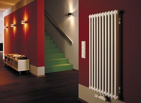 Вертикальный трубчатый радиатор Dia Norm 1200 трехтрубный