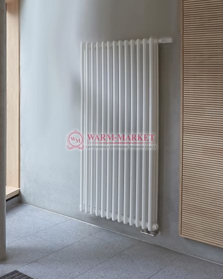 Трубчатый радиатор Arbonia 2100 двухтрубный боковое подключение